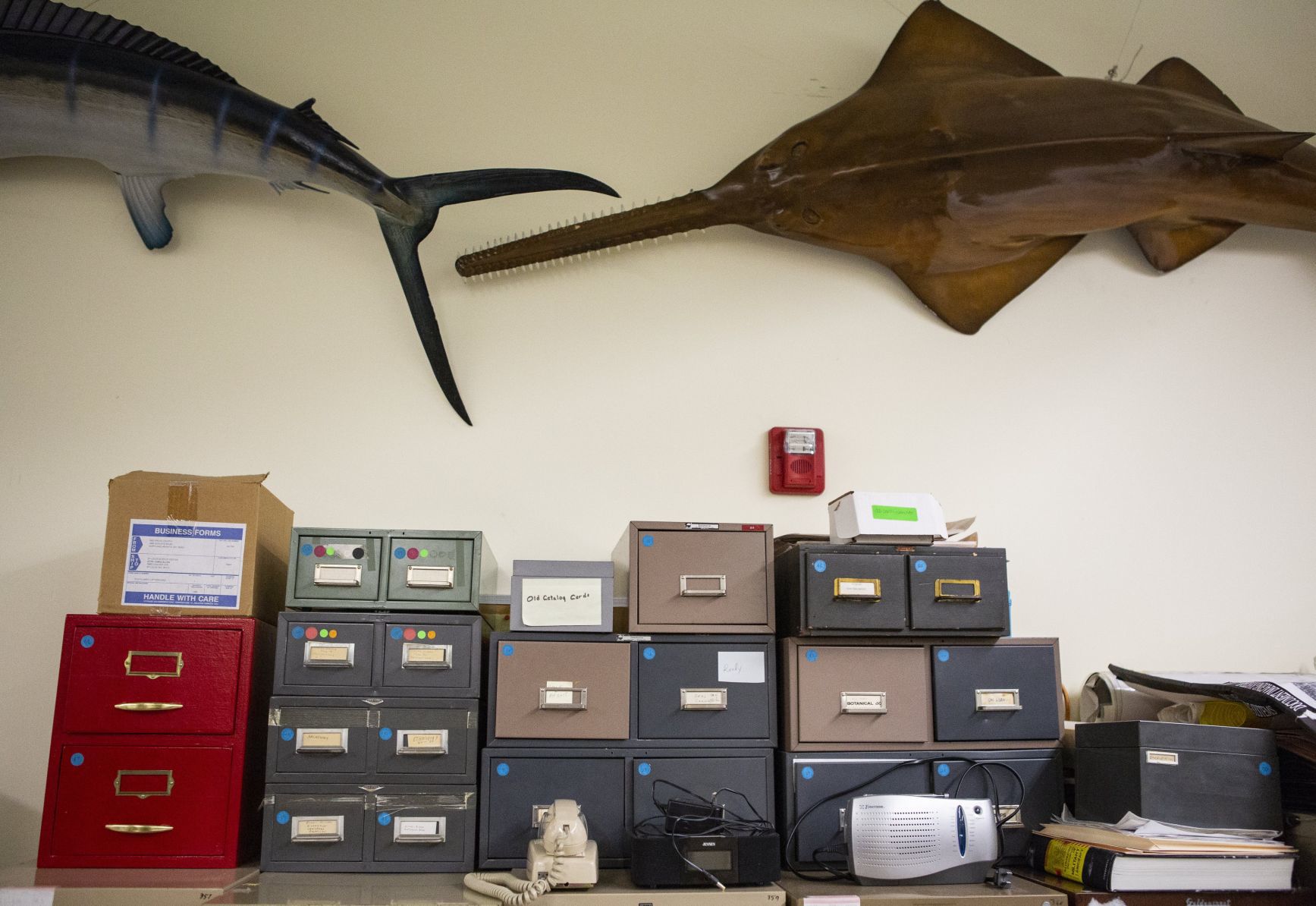 Science Center Collections